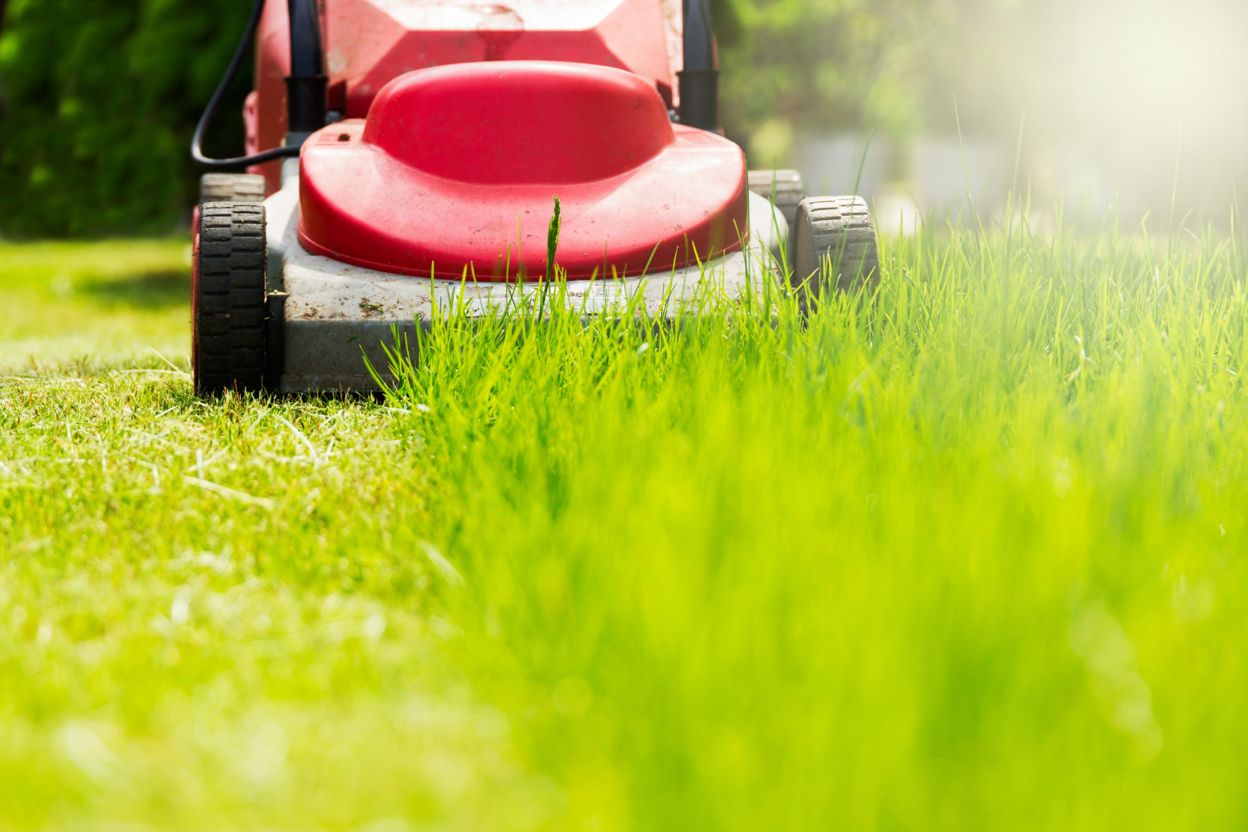 how-to-mow-your-lawn-like-a-pro-coastal-real-estate-guide